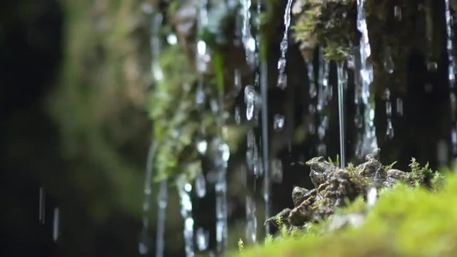 Slow motion closeup of spring water as it falls and dribbles on green moss