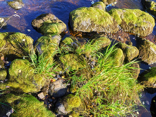 stones covered with moss in the water