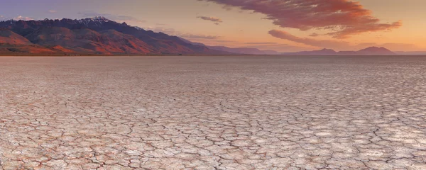 Wall murals Drought Cracked earth in remote Alvord Desert, Oregon, USA at sunrise