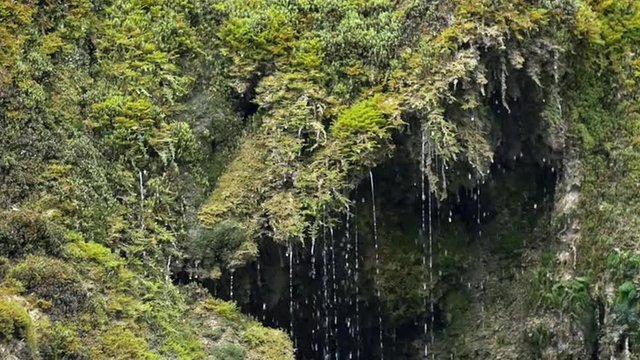 Slow motion of spring waterfall and dribbles on green moss waterfall