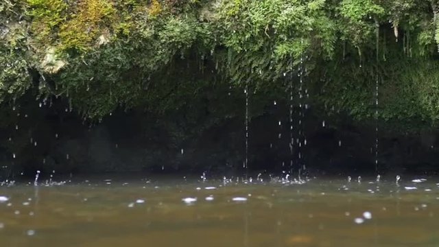 Slow motion of mossy spring waterfall and dribbles into slow flowing river