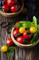 Concept of healthy eating with tomato and basil