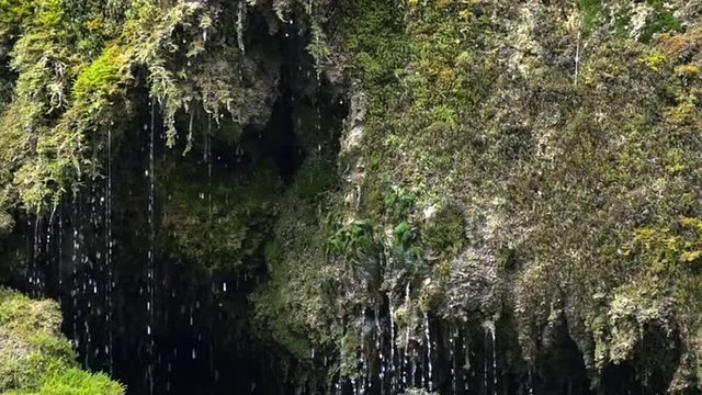 Slow motion of spring waterfall and dribbles on green moss