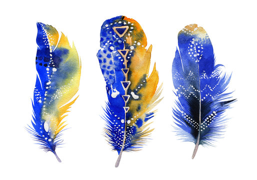 Hand drawn watercolor feather set.  Boho style. illustration iso