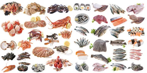 Deurstickers seafood fishs and shellfish © cynoclub
