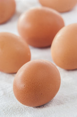 fresh eggs on white background close up