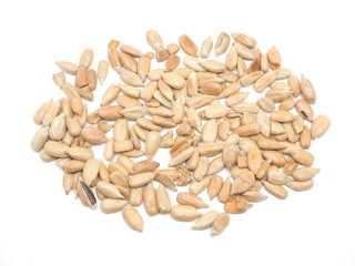 Peeled sunflower seeds on a white background