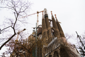 Fototapeta na wymiar Sagrada Familia, a view between trees