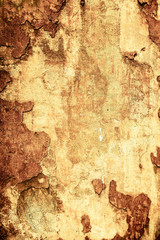 grungy wall Great textures for your design