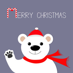 White polar bear in santa claus hat and scarf, paw. Candy cane. Merry Christmas Greeting Card. Violet background. Flat design