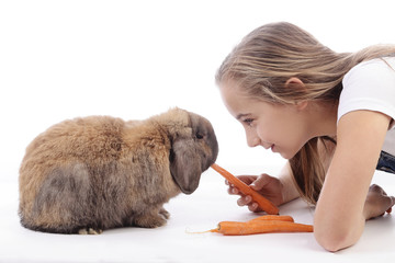 fillette nourrissant lapin bélier