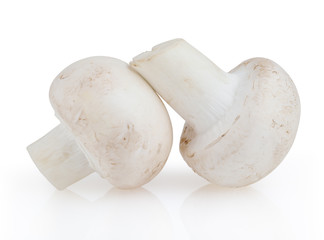Mushrooms isolated on white background with clipping path