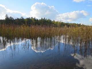 Sjö
