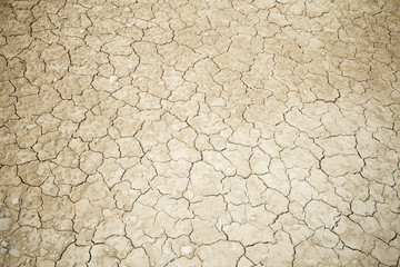 Open arid land