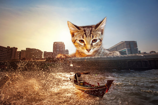 Fantastic illustration of huge cat watching at city background