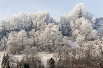 Winter landscape. Frost morning in mountains.