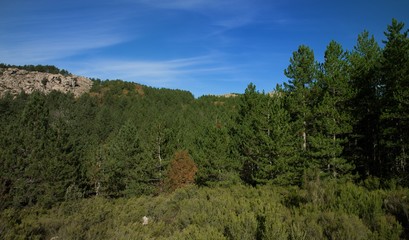 Limbara, montagna vicino t
Tempio, Sardegna