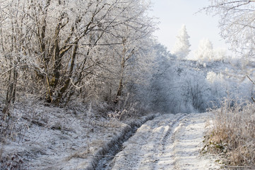 Winter landscape. Frost morning in mountains.