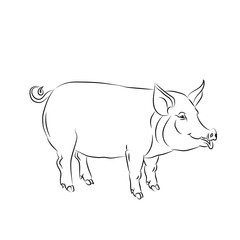 pig black  silhouette