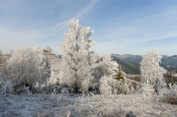 Winter landscape. Frost morning in mountains.