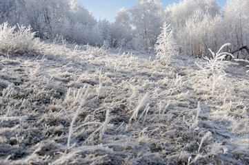 Winter landscape. Frost morning in mountains.