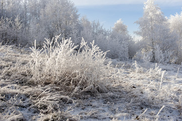 Winter landscape. Frost morning in mountains.