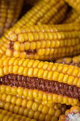 Dried corn cobs