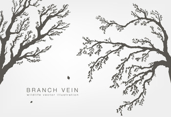 tree branches with leaves and wood