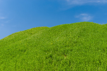 Spring landscape with green hills against blue sky