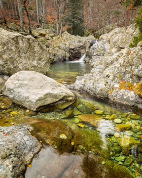 Woodland stream rushing intp crystal clear pool in Corsica