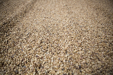 Coffee beans background