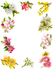 Frame from blossoms of apple tree, cherry twig, pear, forsythia