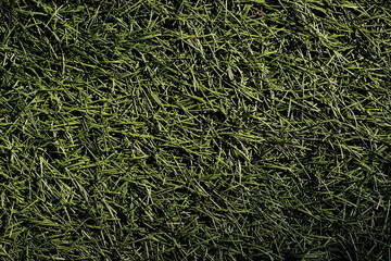 Artificial grass green background