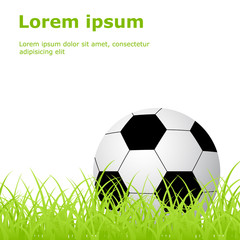 soccer ball grass
