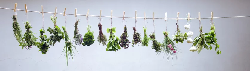 Photo sur Plexiglas Aromatique Herbes sur une ficelle