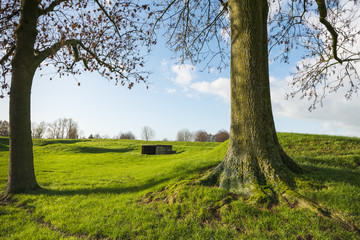 Two trees in an undulating green landscape