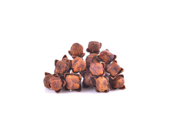 Spice cloves on white background