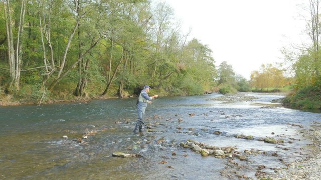 Fly- fisherman fishing in river