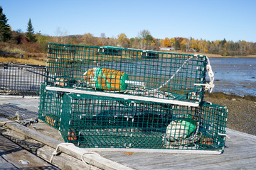 Lobster traps on tilted floating dock