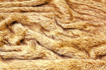 Fur texture