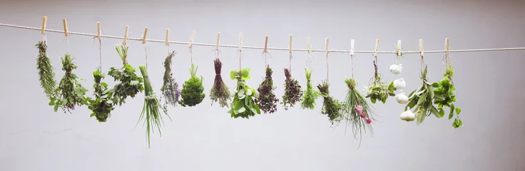 Photo sur Plexiglas Aromatique herbes suspendues