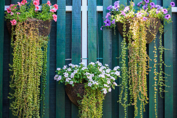 Beautiful Flower Planter Hanging Against a Wooden Wall