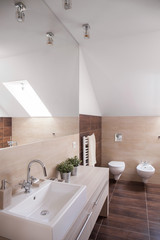 Beige and brown toilet design