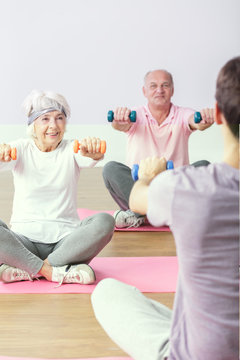 Wellness seniors workout