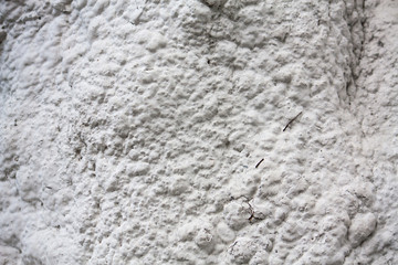 white background