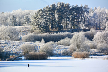 Fototapeta na wymiar Winter landscape with frozen lake