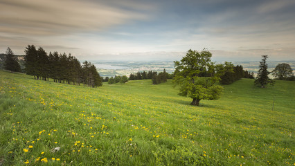 Vue sur Yverdon-les-Bains et le lac de Neuchâtel depuis le Jura.