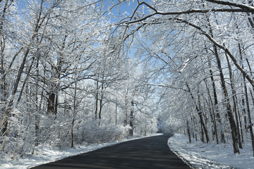 Snowy Winter Road Scene