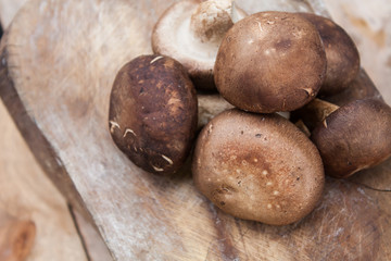 Shiitake mushrooms on wood background