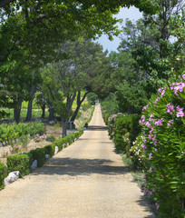 Farm in Herault (France)